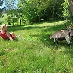 Cecetkuv Statek