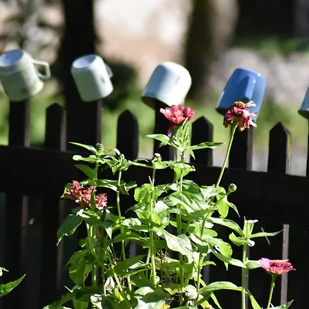 Cecetkuv Statek Apartament