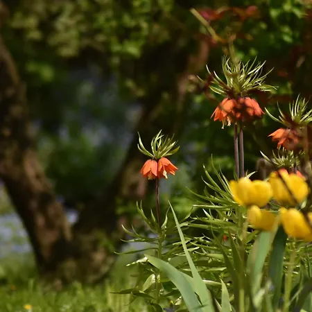 Apartament Cecetkuv Statek *