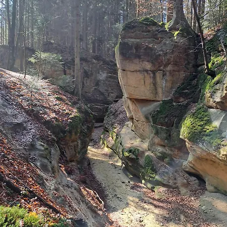 Cecetkuv Statek Apartament Vysoké Mýto