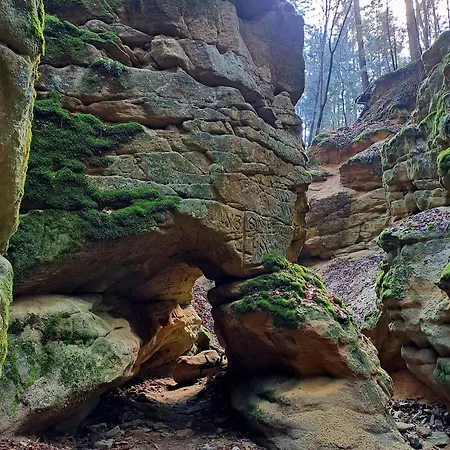 Apartament Cecetkuv Statek